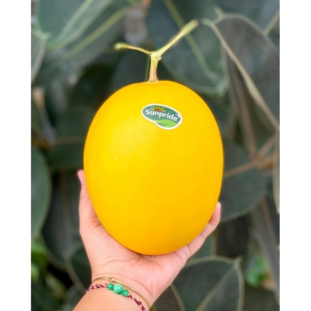 Melon Golden Sunpride