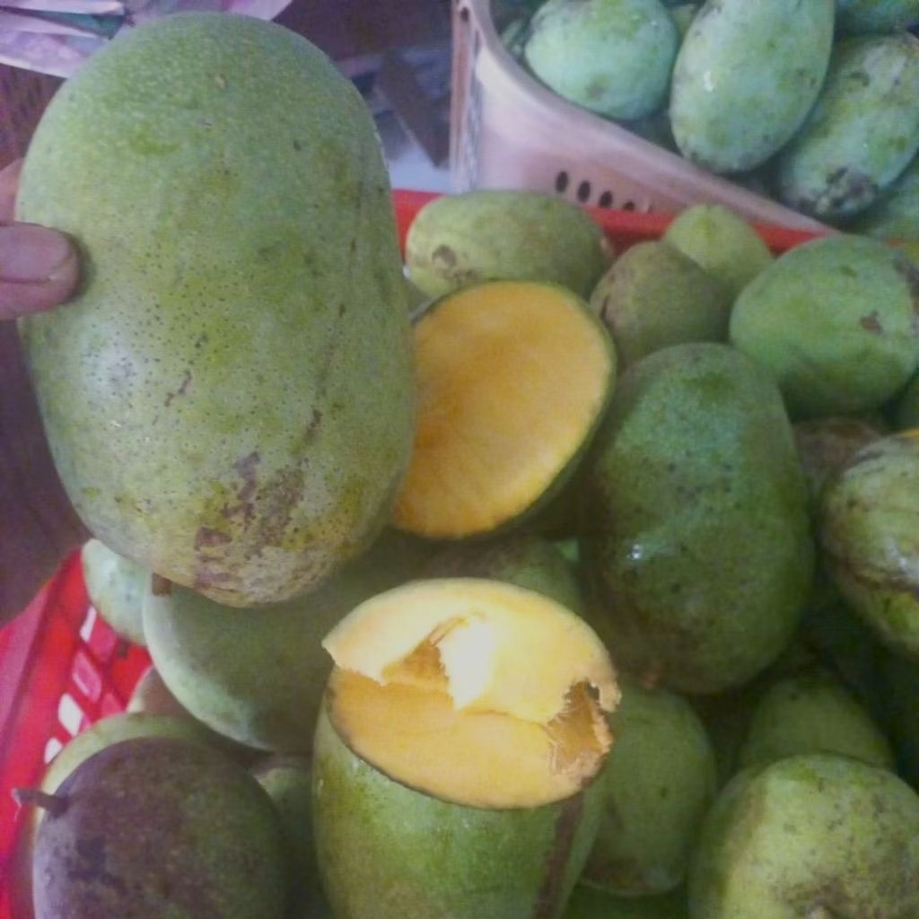 mangga manalagi 1kg