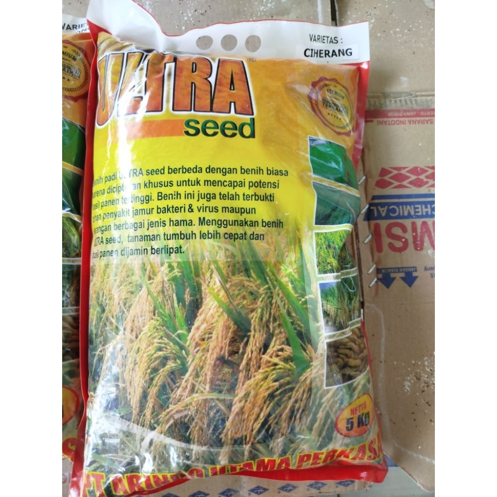 BENIH PADI PREMIUM ULTRASEED CIHERANG