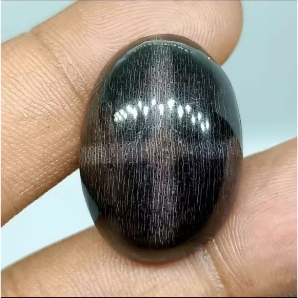 Batu Posil Galih Kelor Motip Tapak Jalak