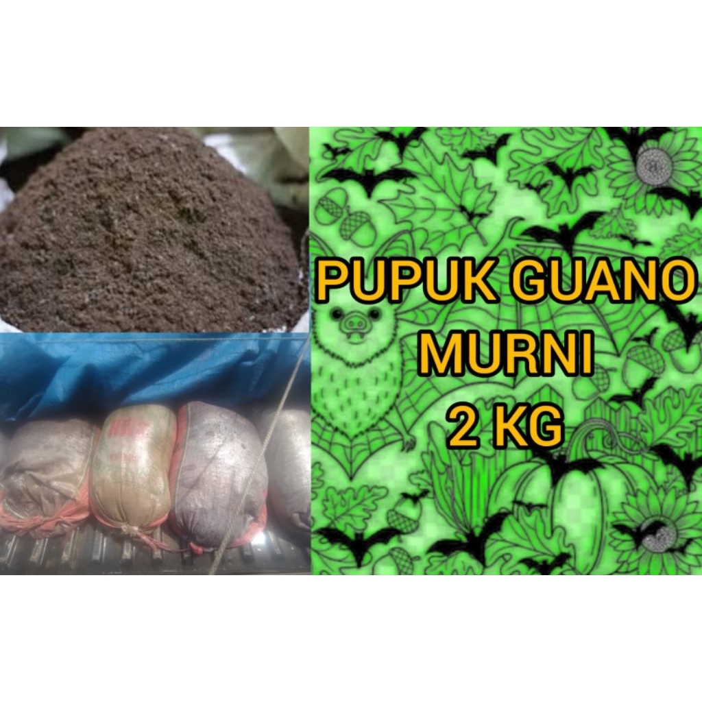 Pupuk Guano Murni (kotoran kelelawar) 2kg.