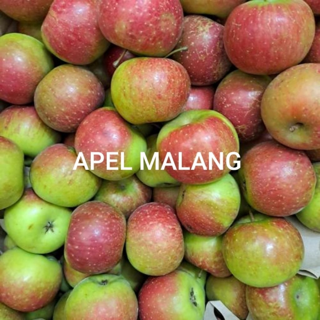 BUAH APEL HIJAU MALANG