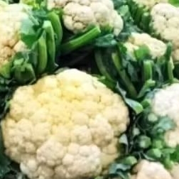 kembang kol fresh 1 kg