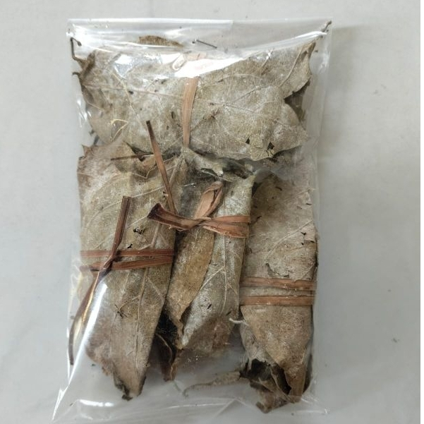 Daun Gambir Kering daun Gambir Medan untuk makan sirih 1 Bungkus
