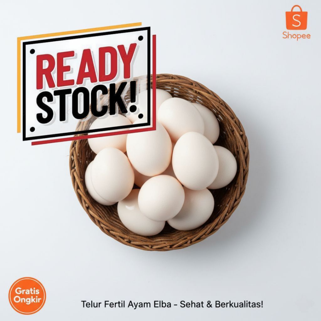 telur Fertil ayam elba