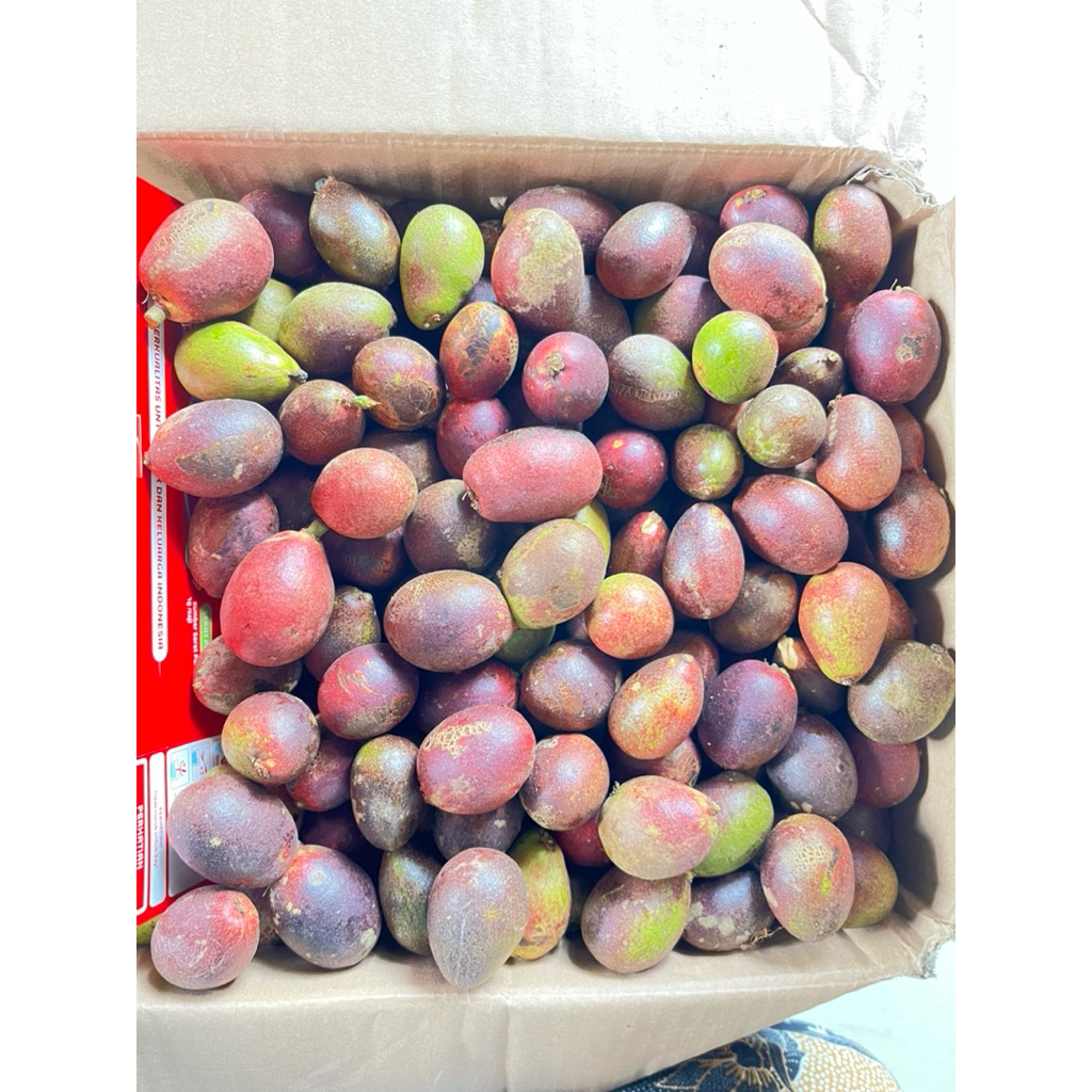Buah Matoa/Buah Fresh/matoa pati 1 kg