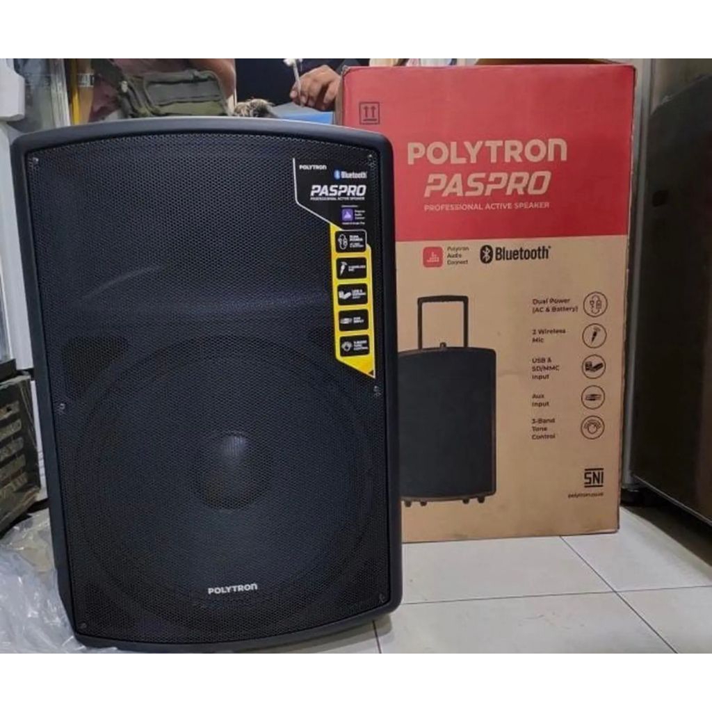 SPEAKER POLYTRON PAS PRO 15 F3