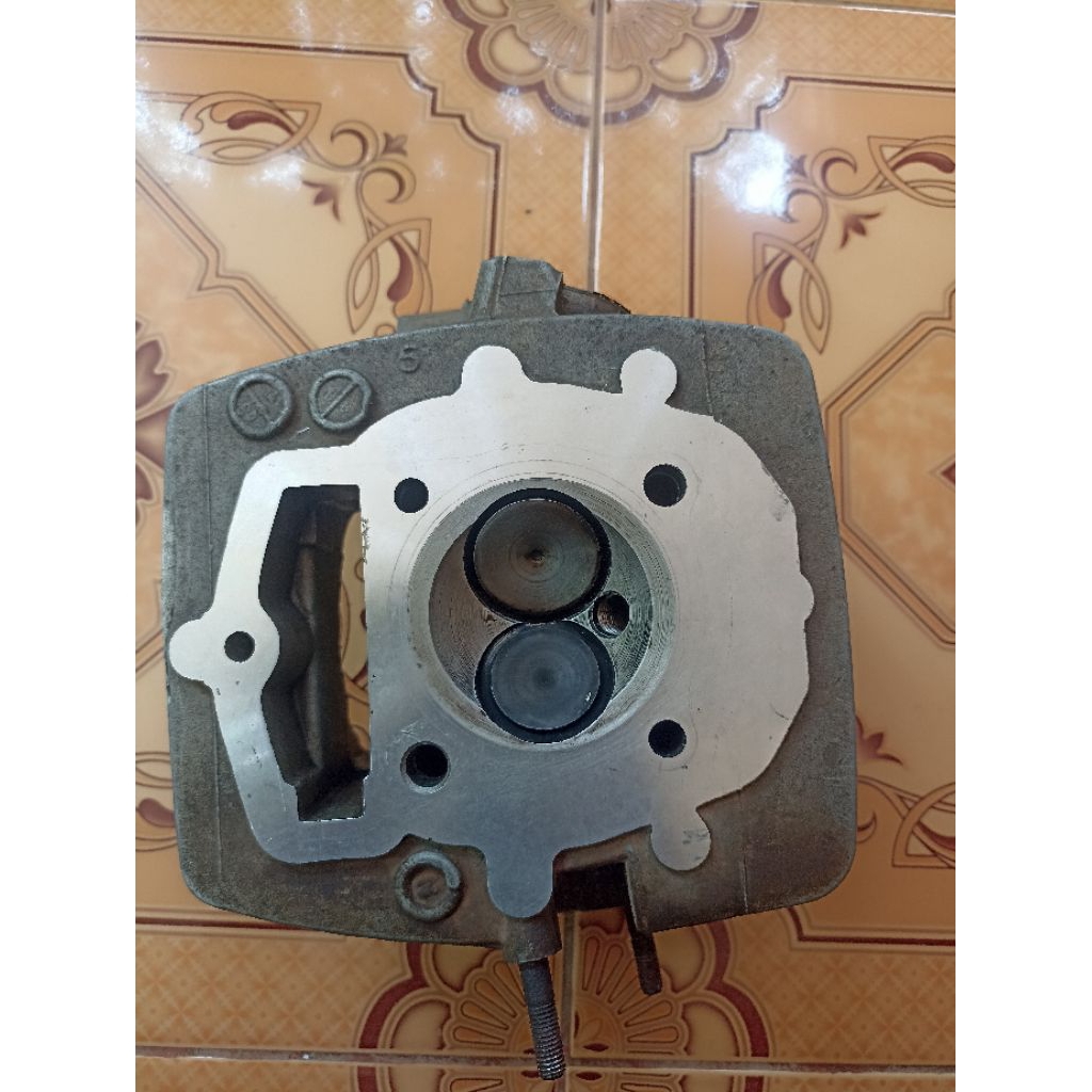 kop tiger head tiger