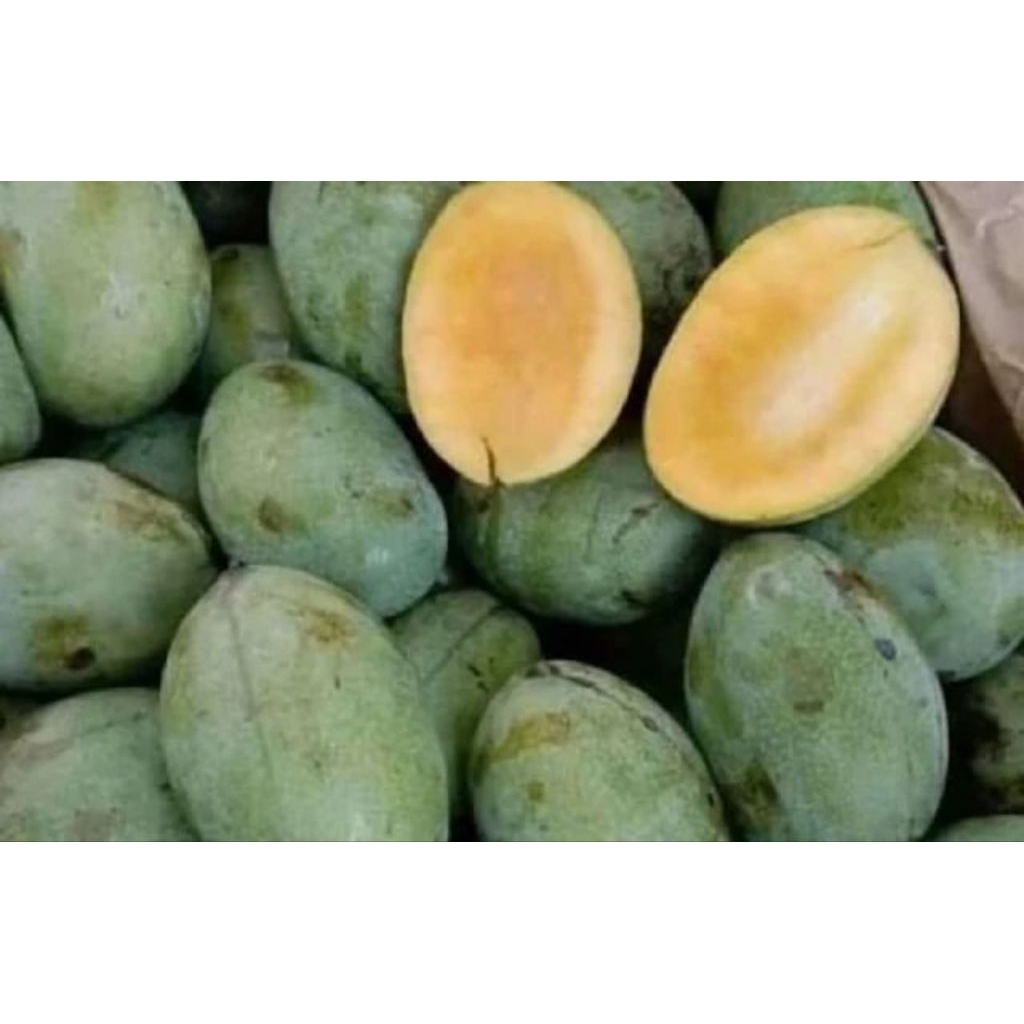 MANGGA MANALAGI 1KG SURABAYA INSTAN