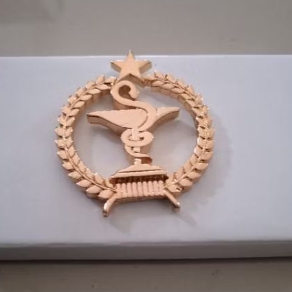 brevet wing pin apoteker tni ad