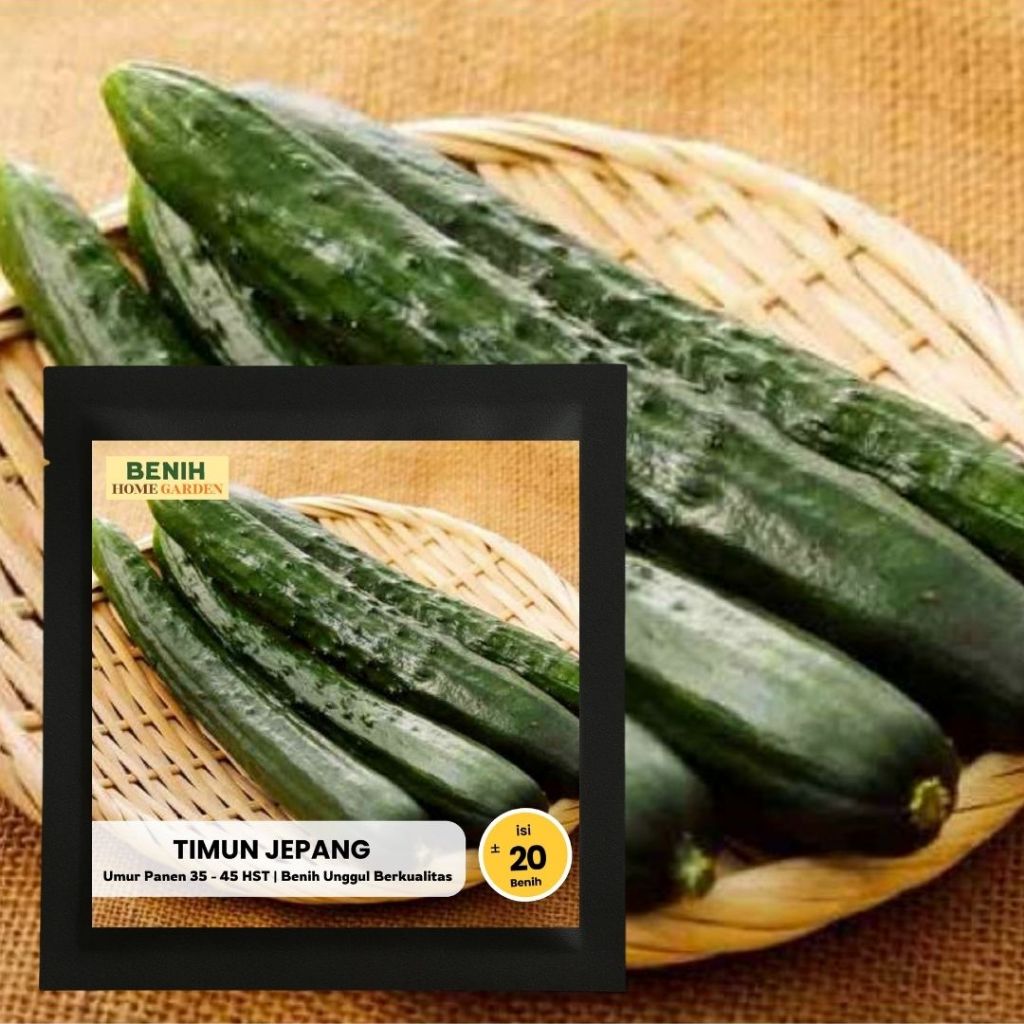 Benih Timun Jepang 20 Butir Bibit Timun Unggul Cepat Panen Benih Home Garden