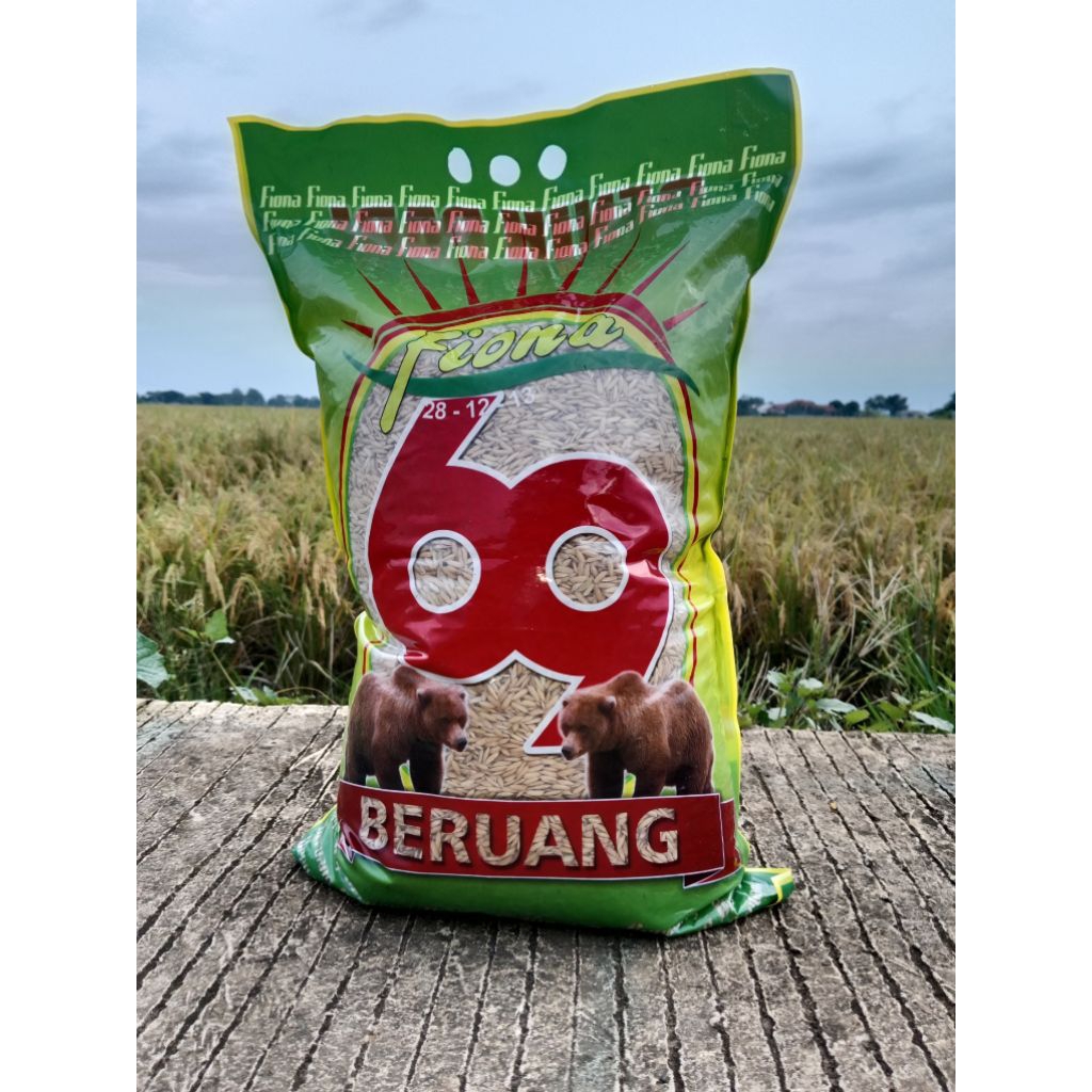 Benih padi BERUANG, CIHERANG 5 KG (ORIGINAL)