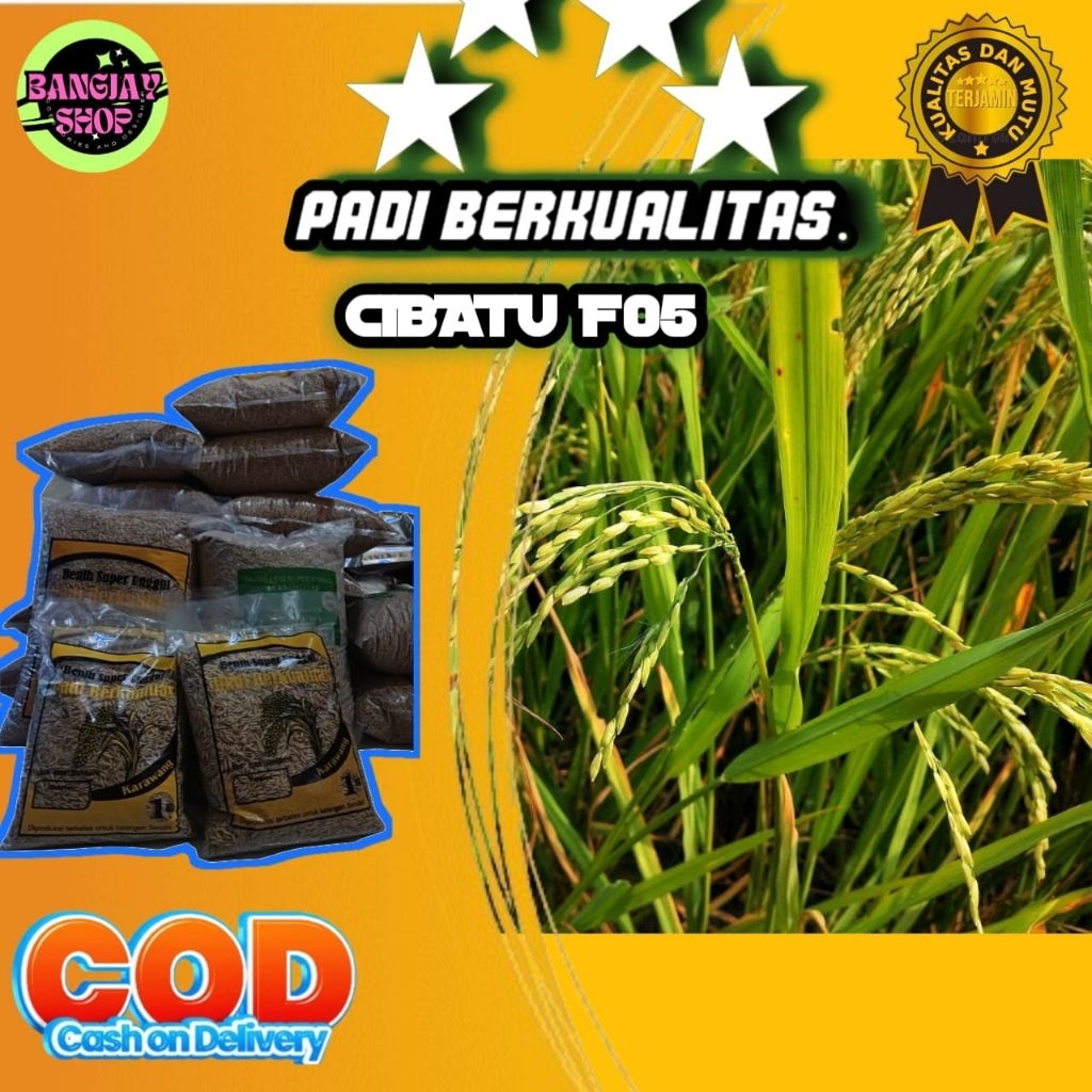 (COD) Benih bibit padi CIBATU 05 KEMASAN 5kg