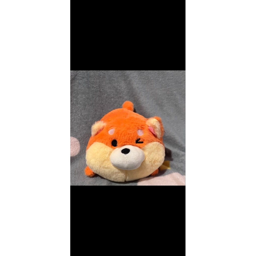 Boneka anjing Chihuahua