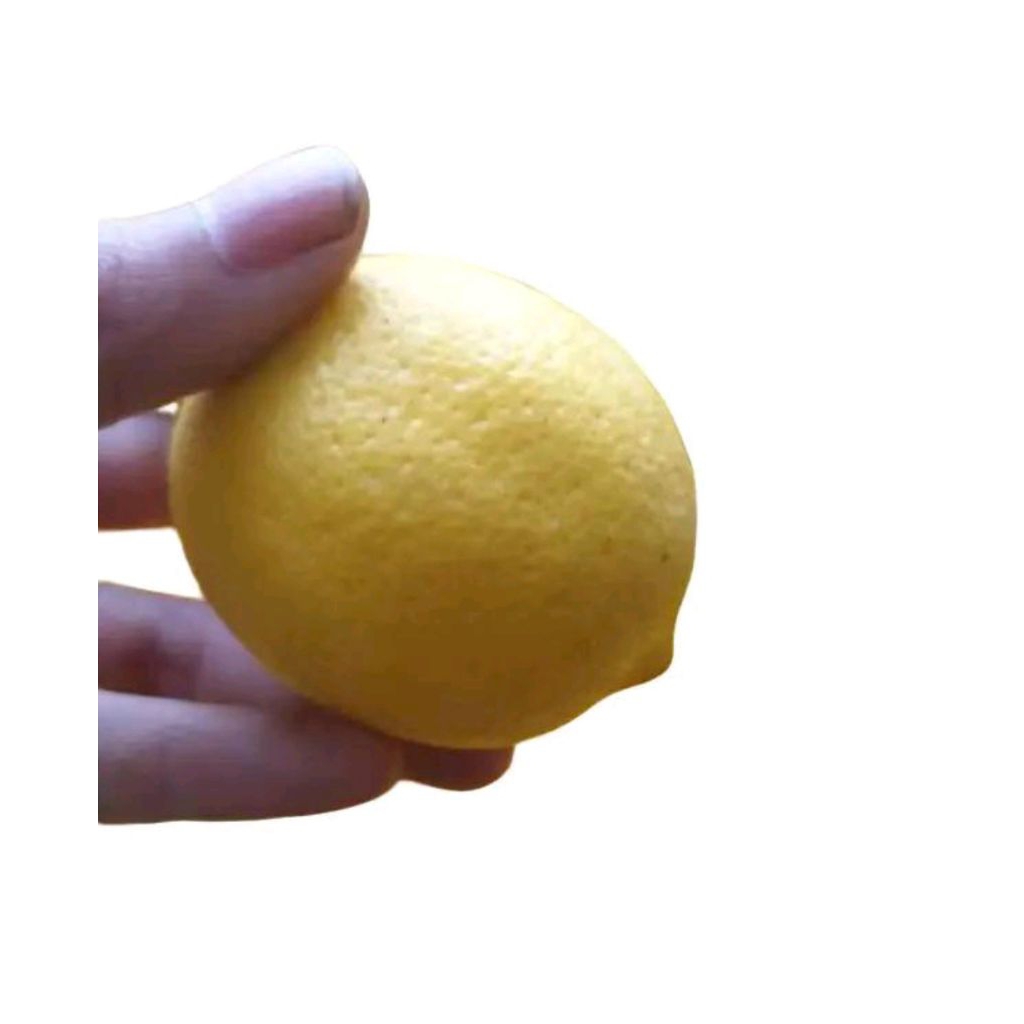 buah jeruk limun lemon California fress 1kg