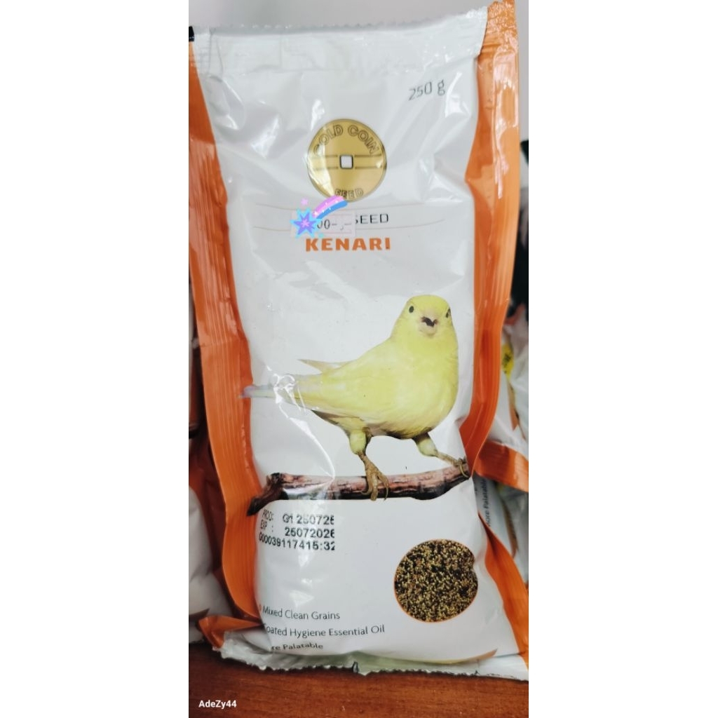 GoldCoin | Gold Coin Kenari