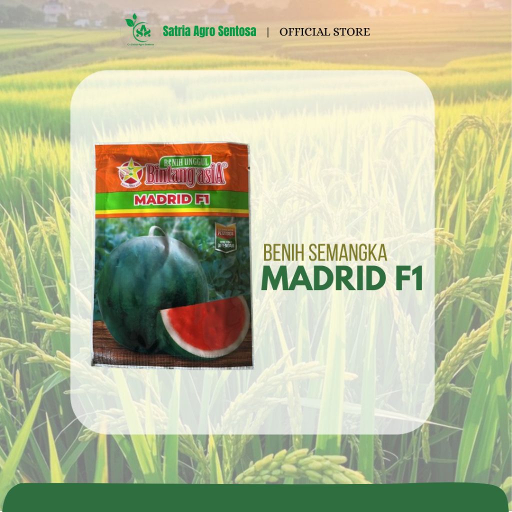 BENIH SEMANGKA NON BIJI MADRID F1