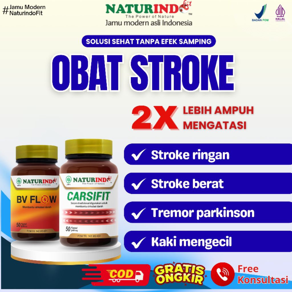 Obat Herbal  Stroke Ringan Berat Lumpuh Tremor CarsiFit NaturindoFit