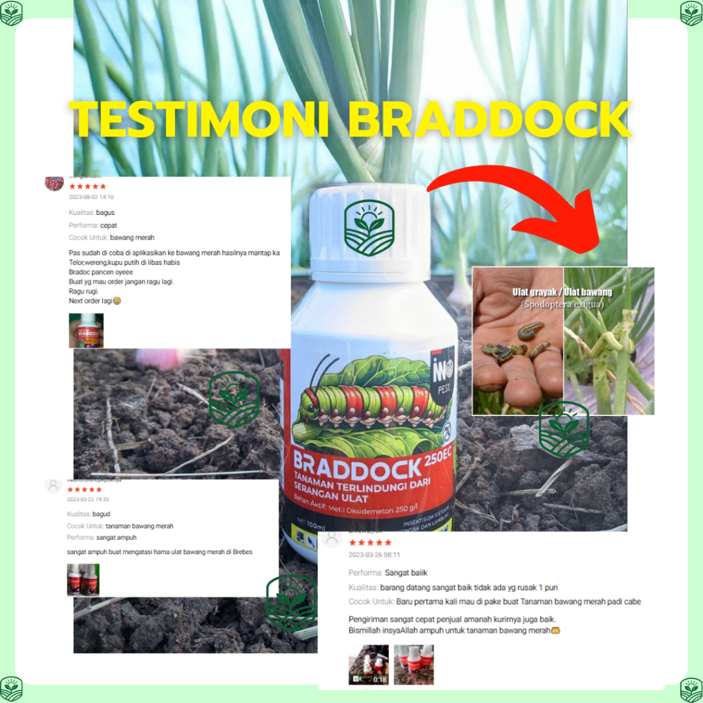 BARDDOCK 250EC 100ML Insektisida Sistemik Ampuh Hama Ulat, Thrips & Wereng