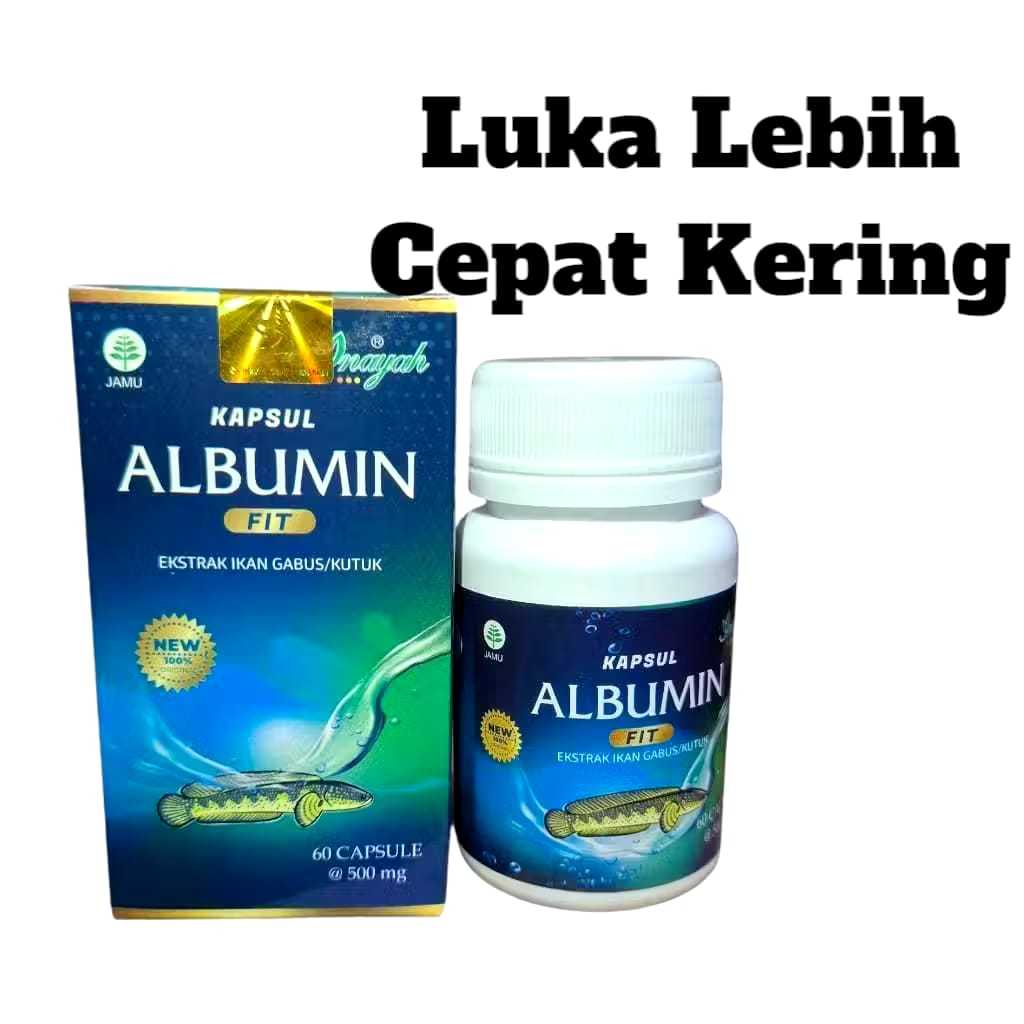 Albumin Fit Kapsul Ekstrak Ikan Gabus Pro Albumin Obat Pasca Operasi Original