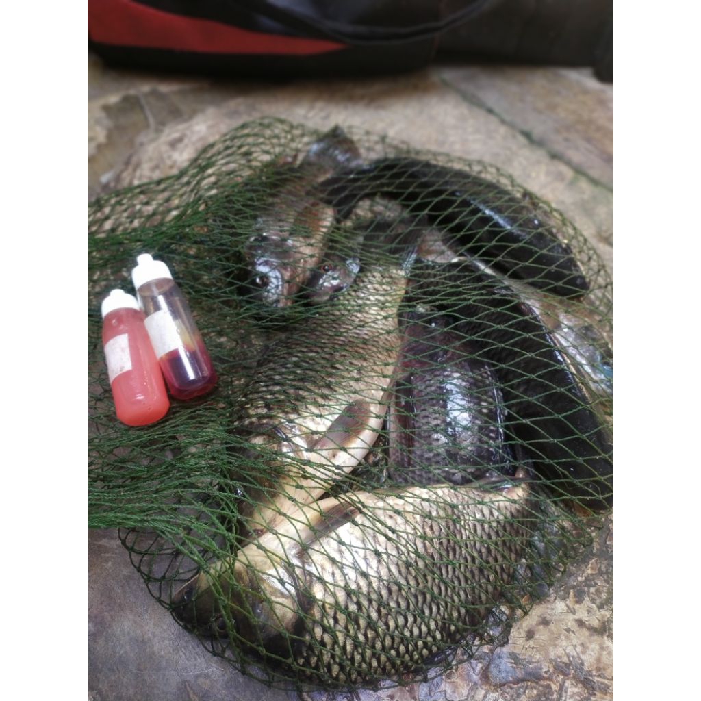 ESSEN MPU GANDRING 30 ML BIRU