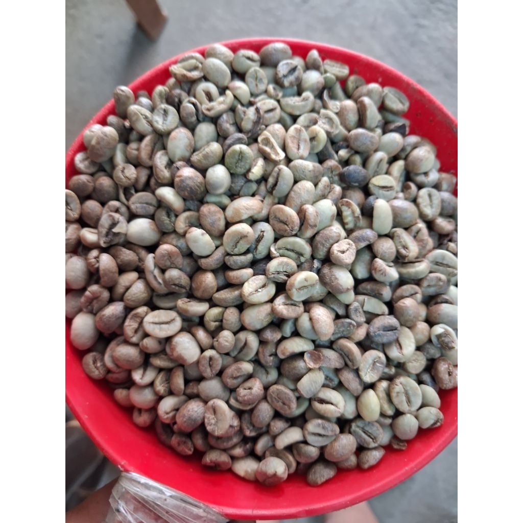 robusta temanggung