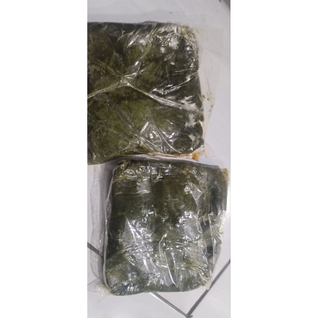 umpan BUTO IJO khusus galatama Lele