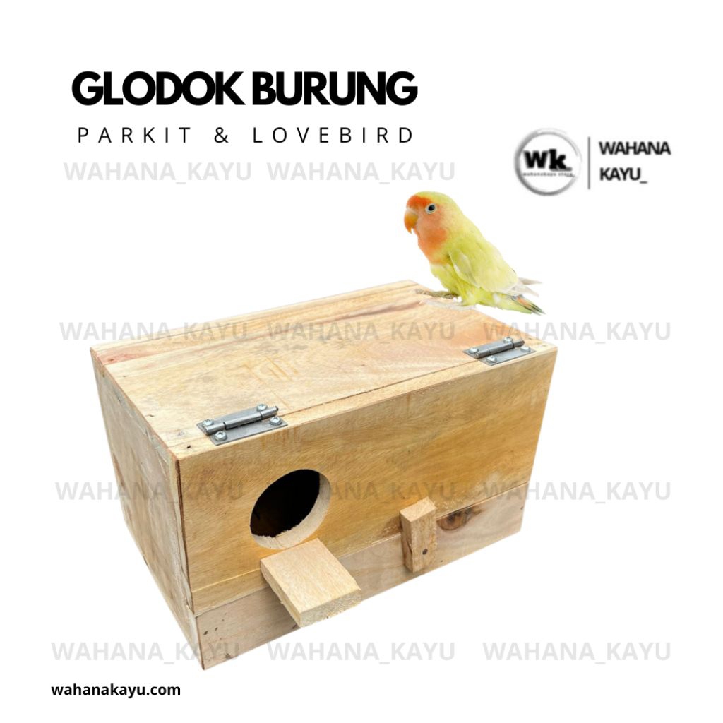 glodok parkit Lovebird finch glodok parkit kotak engsel besi