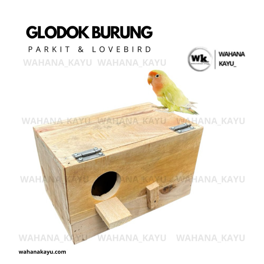glodok parkit lovebird finch glodok parkit kotak engsel besi