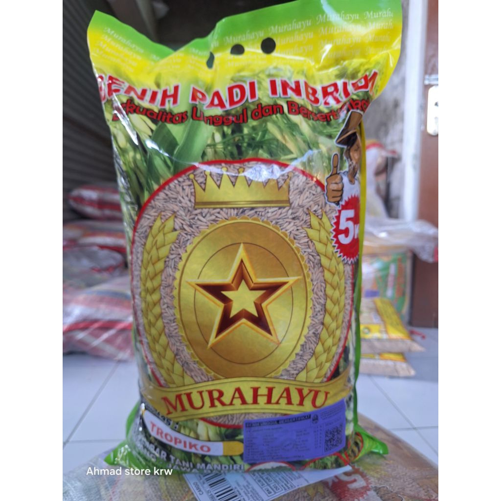 Benih padi unggul Tropiko padi jepang bersertifikat kemasan 5kg
