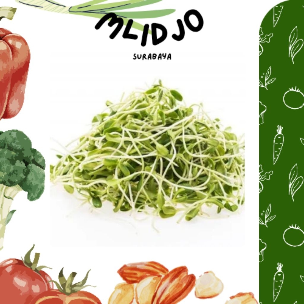 CAMBAH ALE KECAMBAH KEDELAI 100GRAM