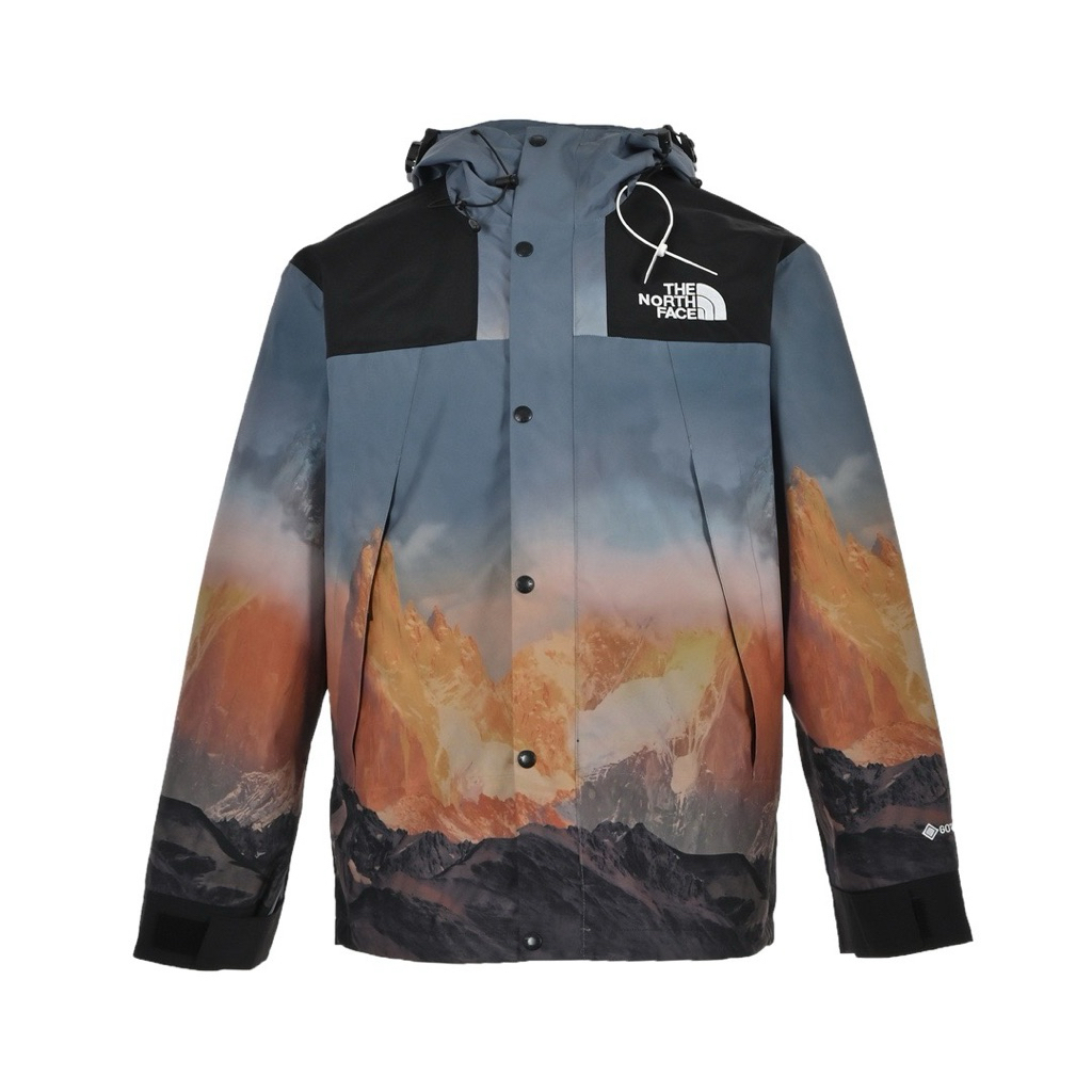 Jacket TNF Gore-Tex Mountain Vista