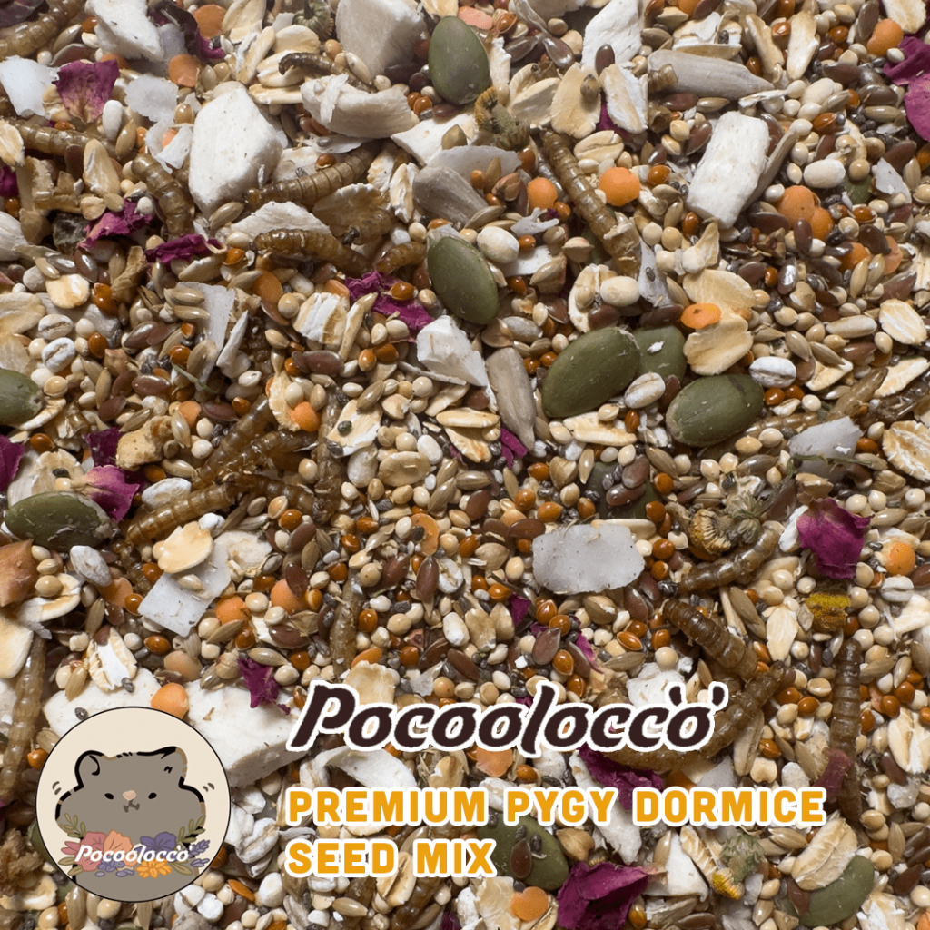 POCOOLOCCO PREMIUM PYGMY DORMICE SEED MIX