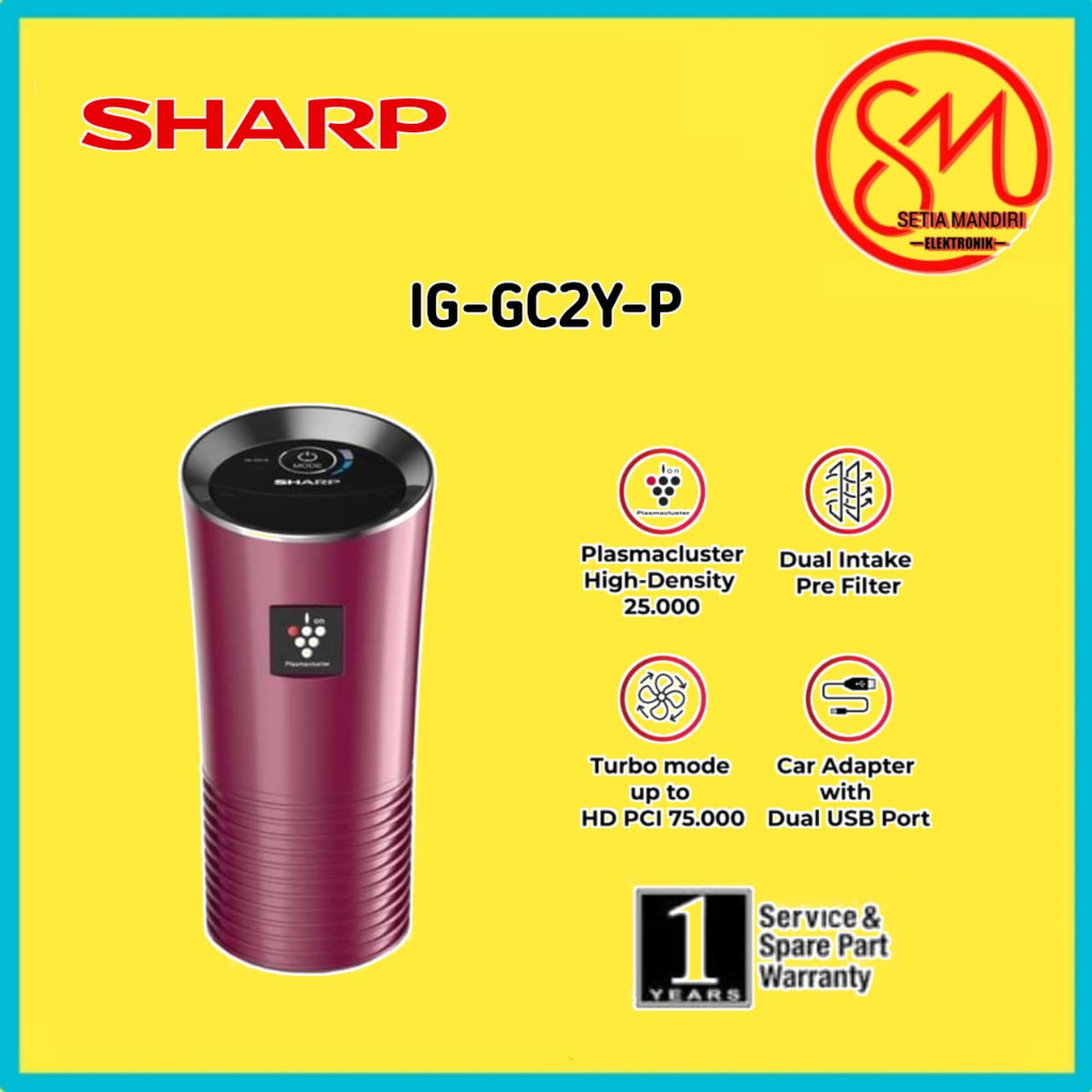 CAR AIR PURIFIER IG GC2Y B P