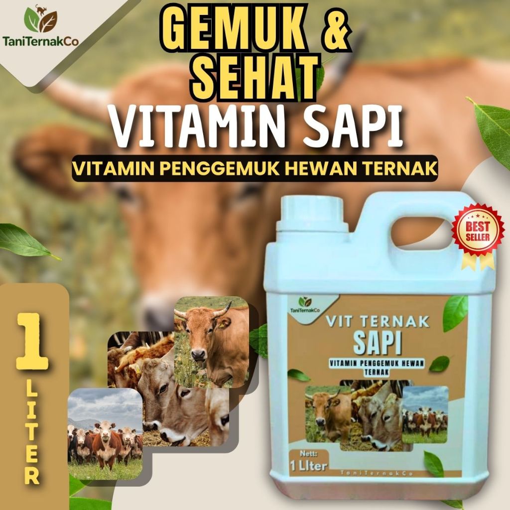 Vitamin Penggemuk Sapi Penambah Nafsu Makan Ternak Vitamin Sapi Agar Cepat Besar Penambah Bobot