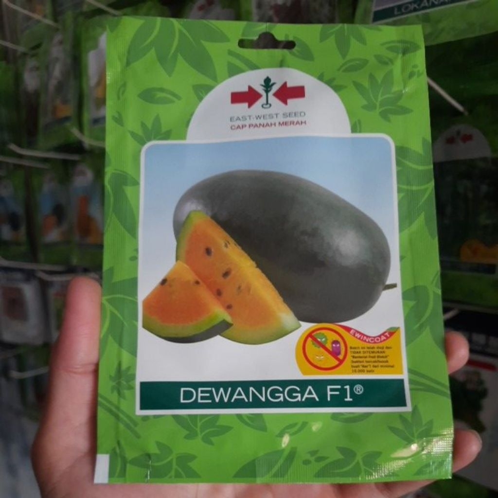 Benih Semangka Inul Kuning DEWANGGA F1 Isi 40biji