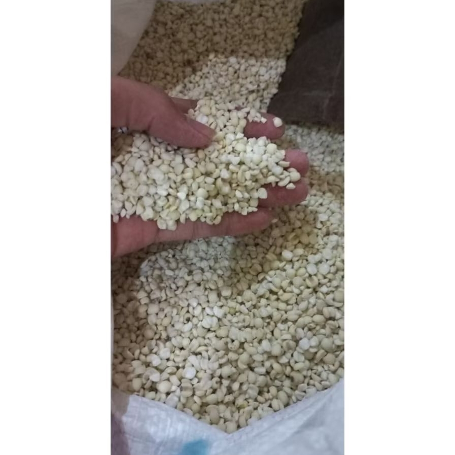 hanjeli 1kg/jali jali/jali jali barley 1kg