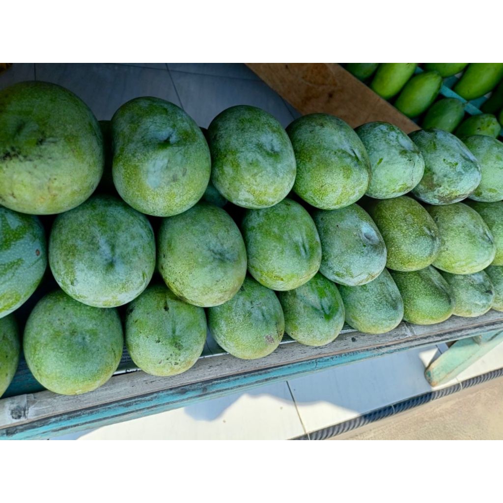 Mangga Manalagi | Karton 10kg | Khas Probolinggo |
