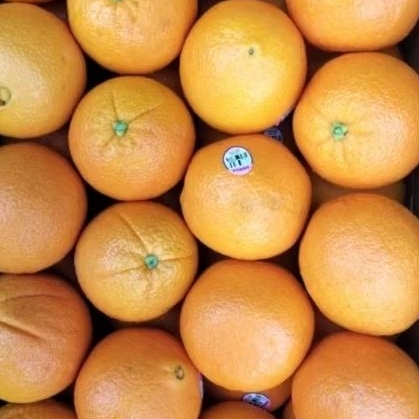 Jeruk Sunkist Cara Cara 1kg