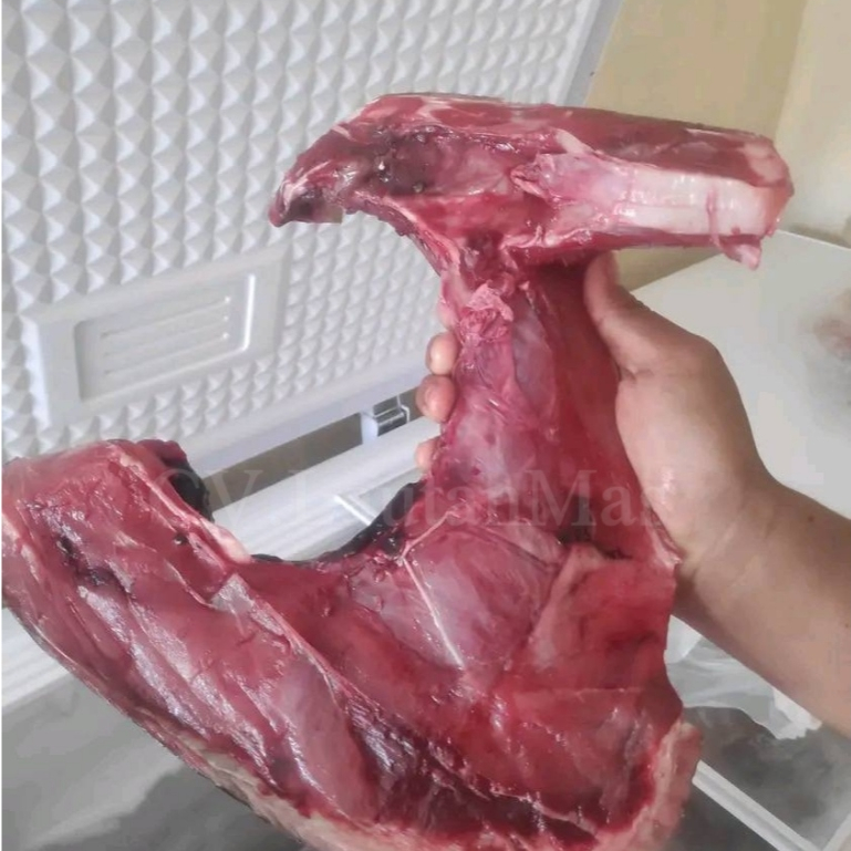 Rahang Tuna Segar Fresh Frozen Premium Rahang Tuna Co Seafood Ikan Segar 1Kg