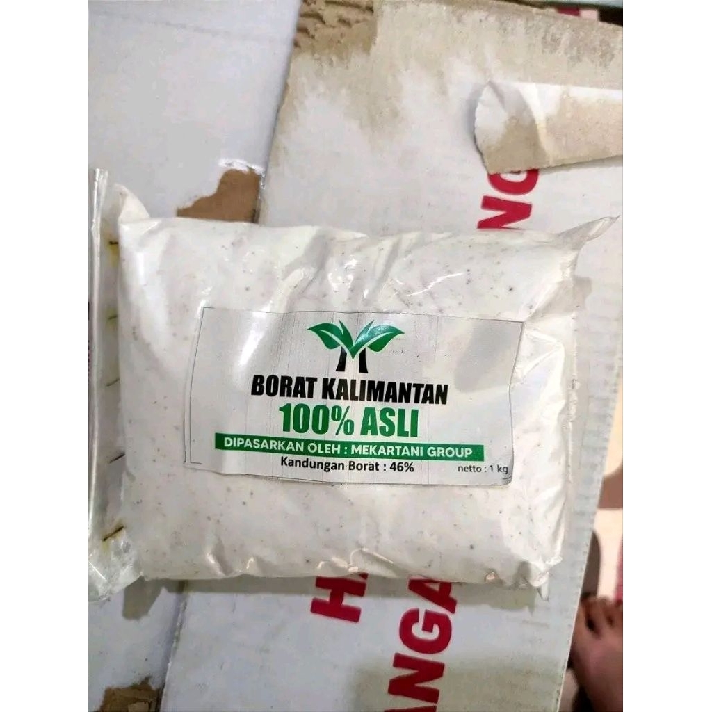 BORAT KALIMANTAN 100 PERSEN ASLI