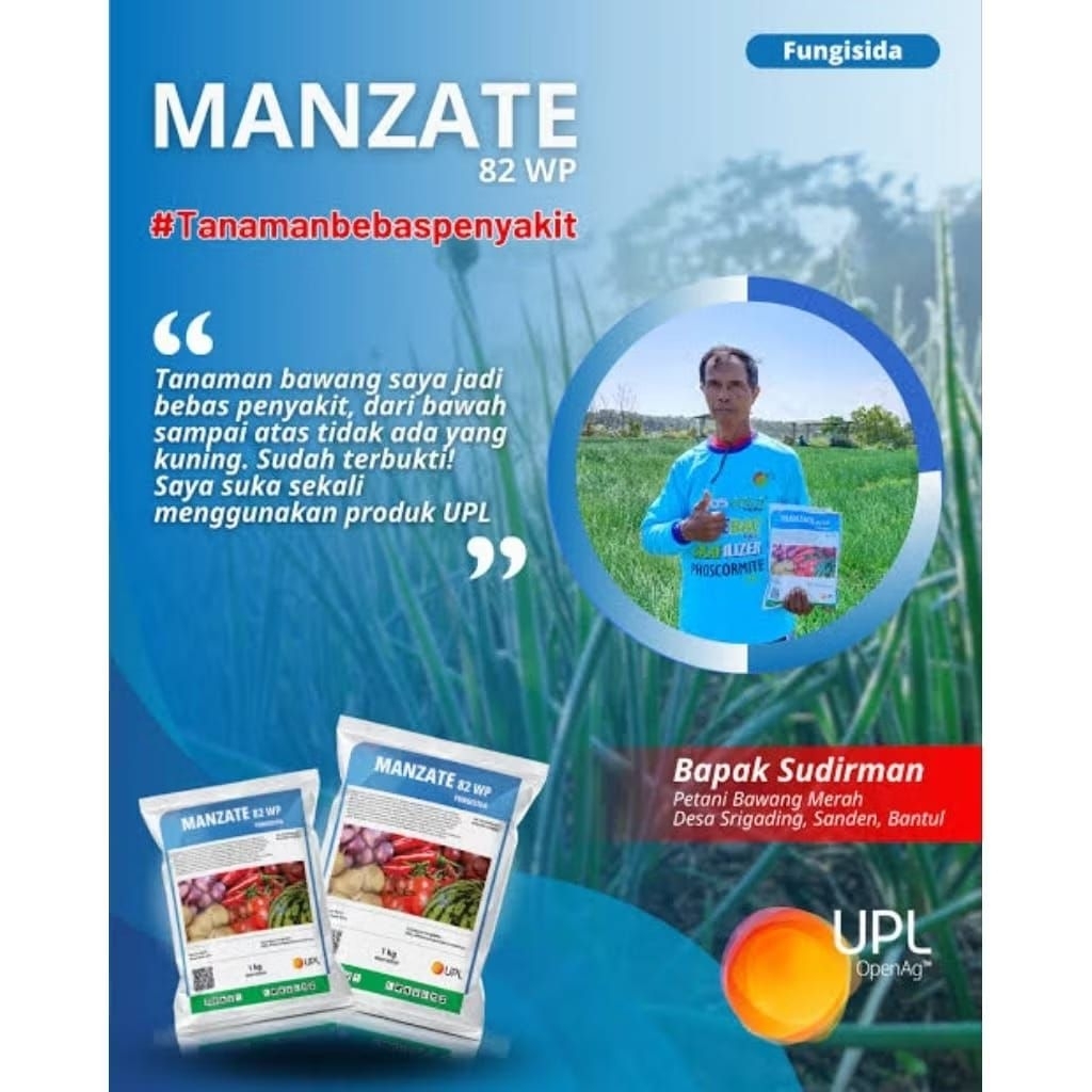 fungisida Manzate 82wp