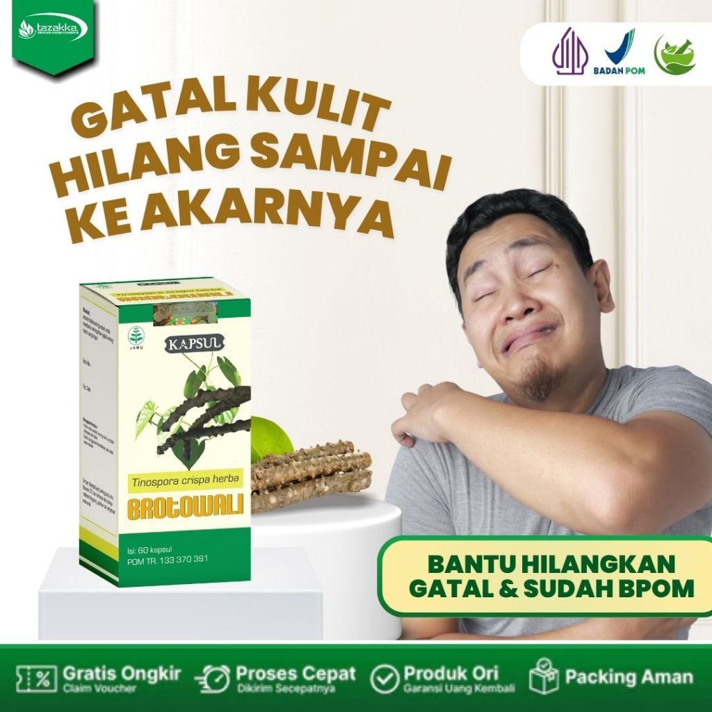 Obat herbal mengobati diabetes hipertensi Gatal Kulit dengan kapsul brotowali