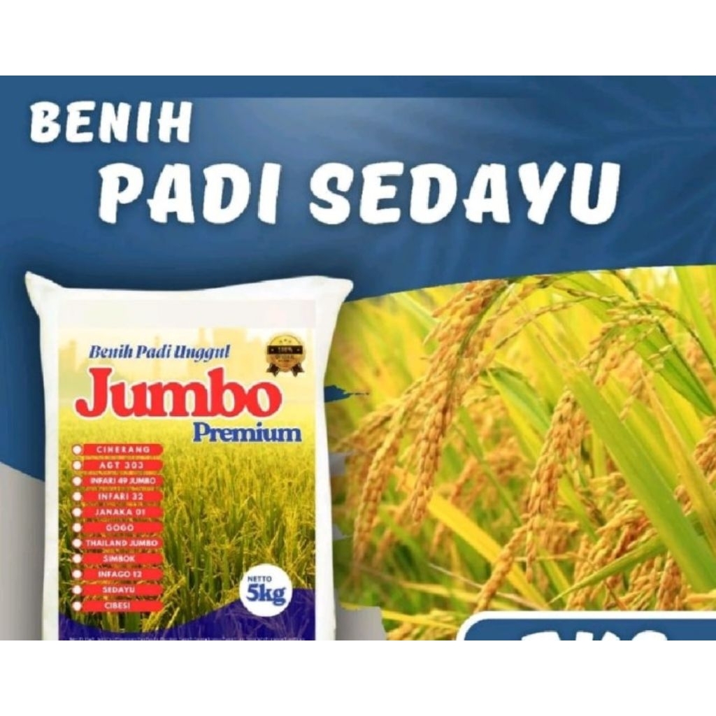 Benih padi sedayu 5kg