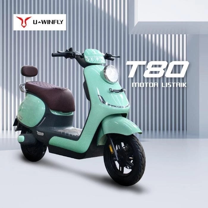 Motor listrik uwinfly T80