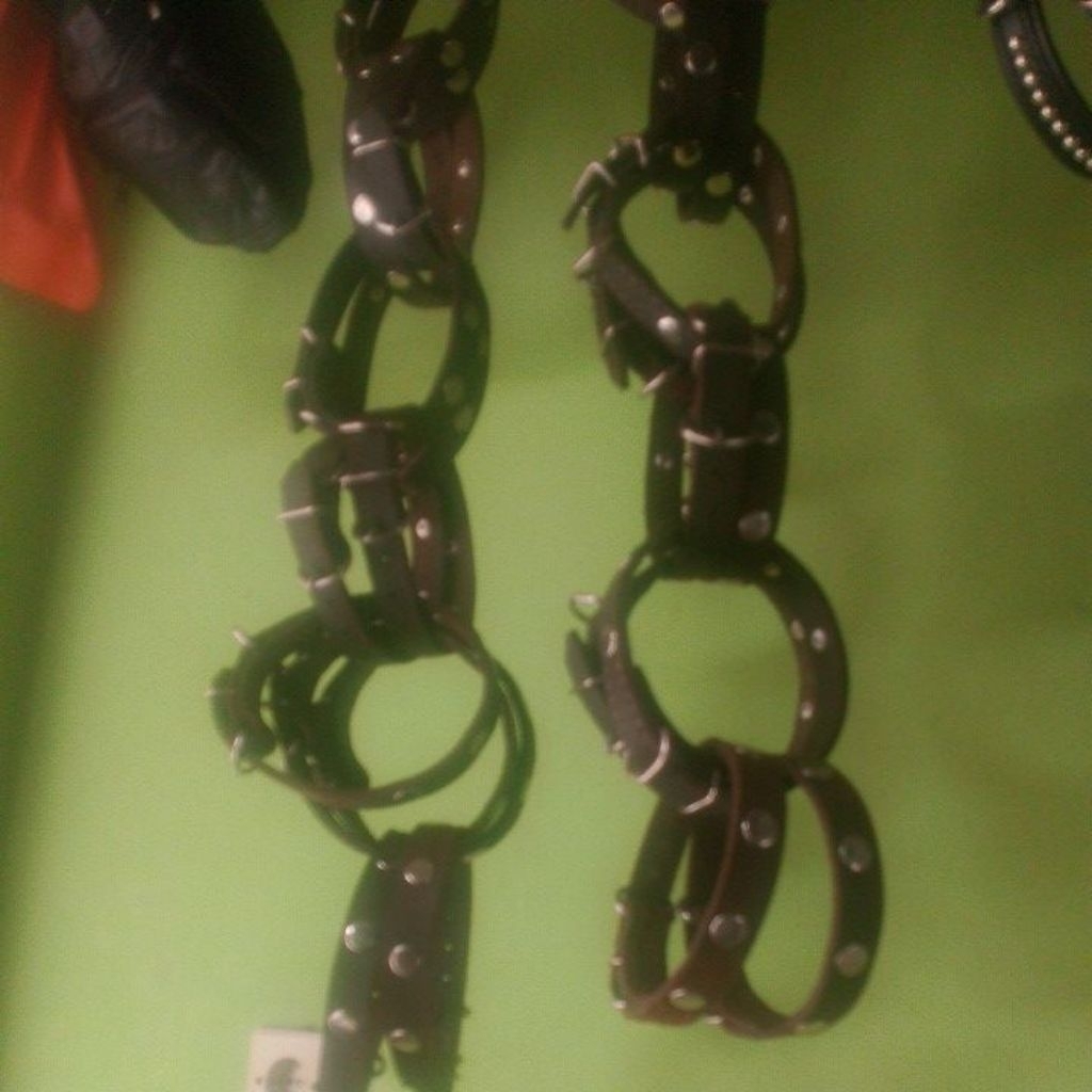 kalung anjing kampung