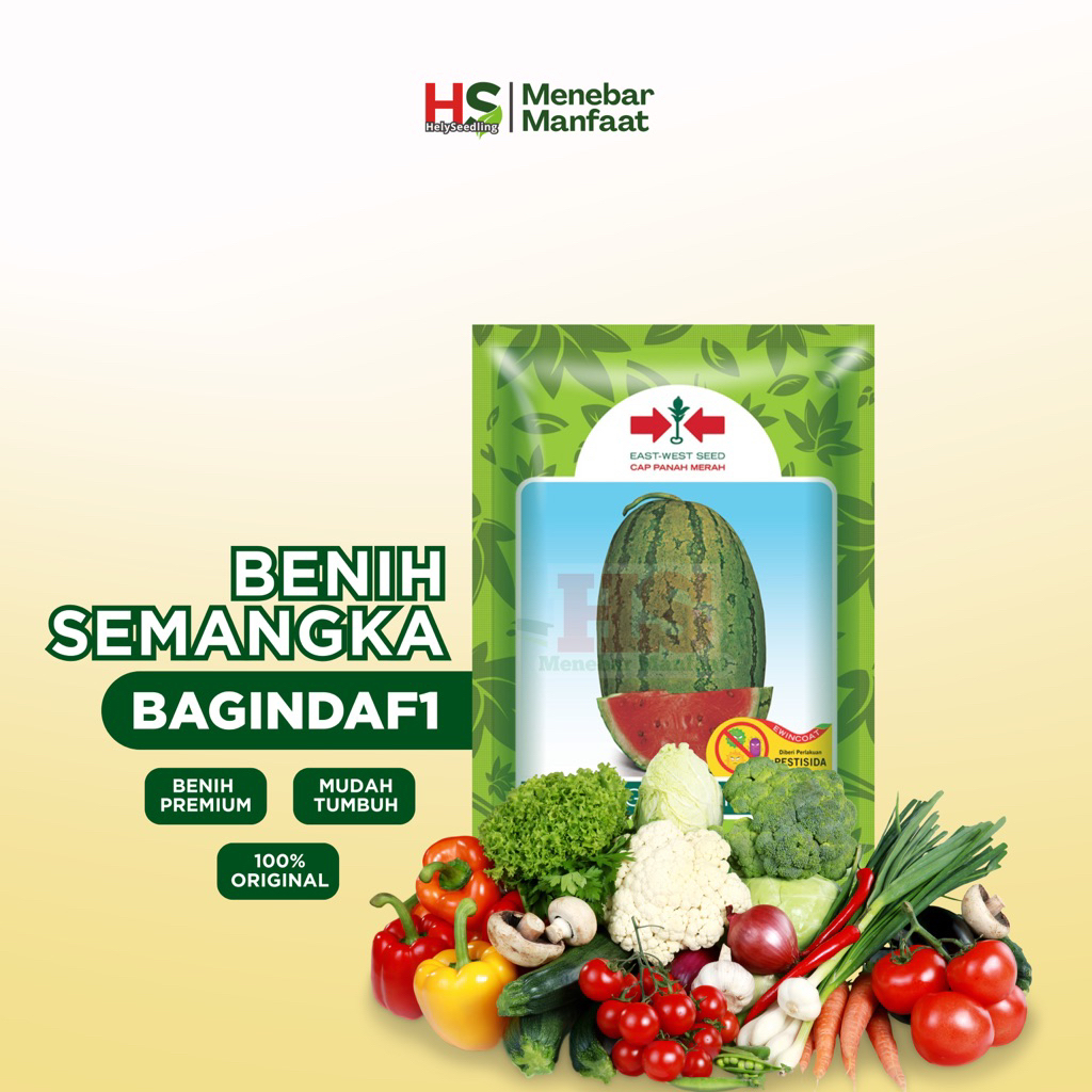 Semangka Baginda F1 Cap Panah Merah