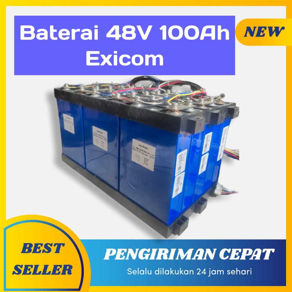 Baterai Lifepo4 48V 100Ah Exicom BMS Normal