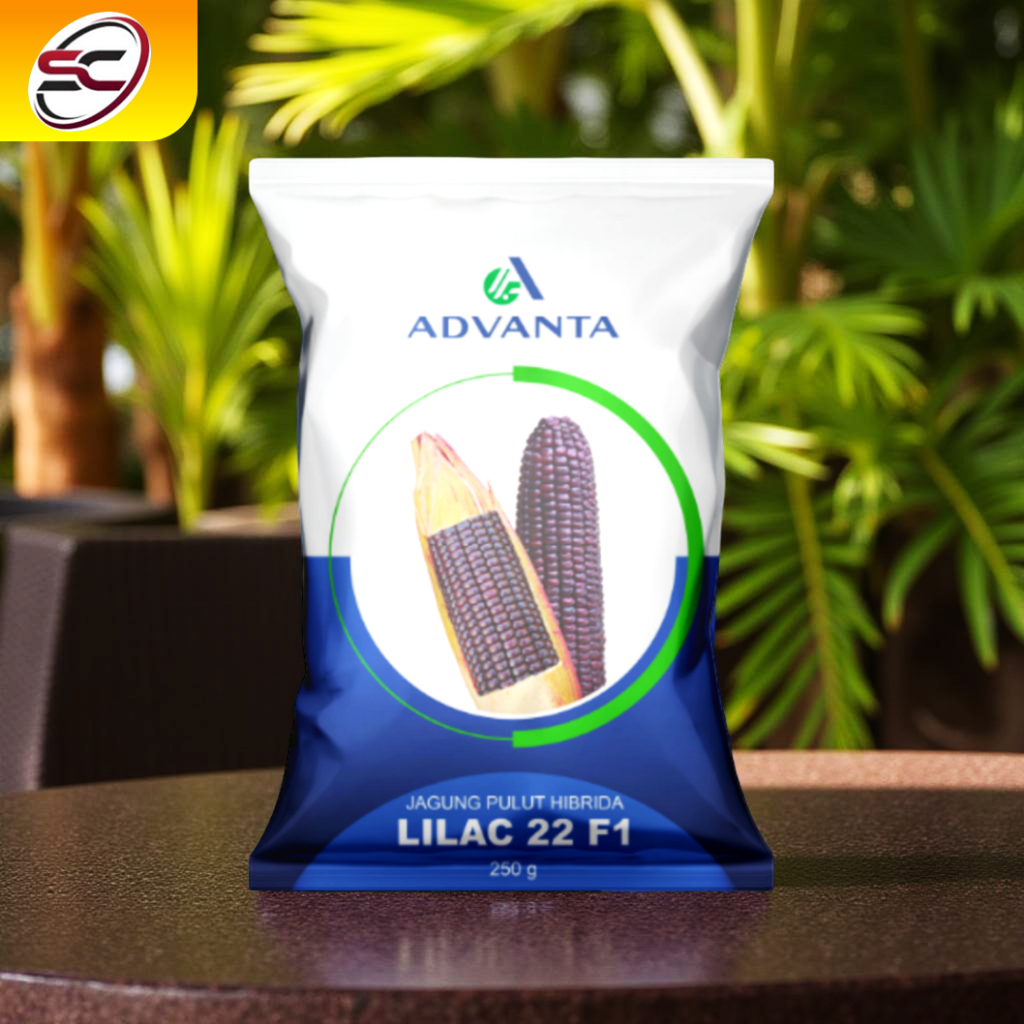 Benih Jagung Pulut Ungu Hibrida Lilac 22 F1 Advanta 250gr – Bibit Jagung Ketan Ungu Manis, Produktif