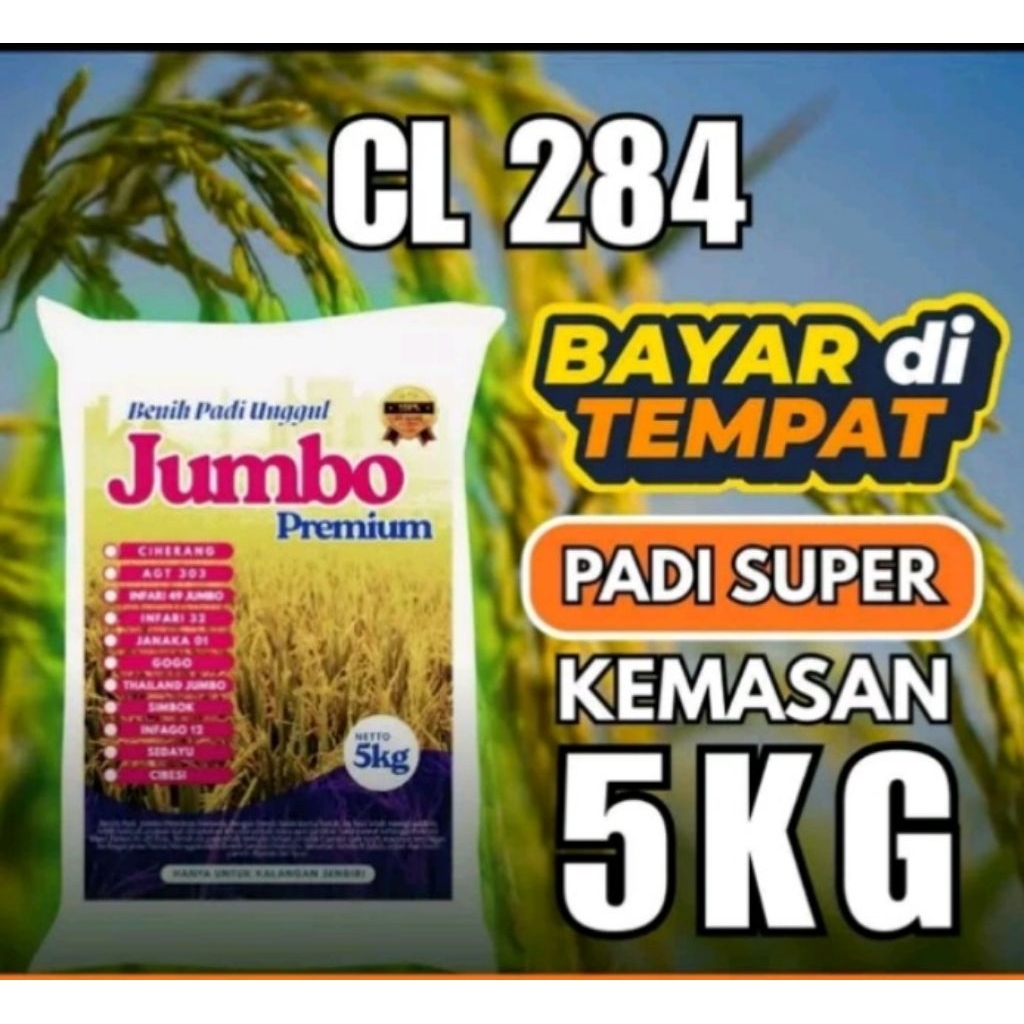 Benih padi CL 284 5kg